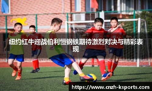 K体育平台